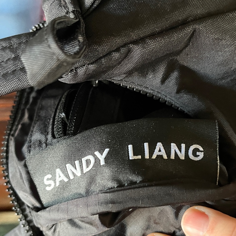 Like New Sandy Liang x BAGGU Black Bow Shoulder Bag - Picture 7 of 9